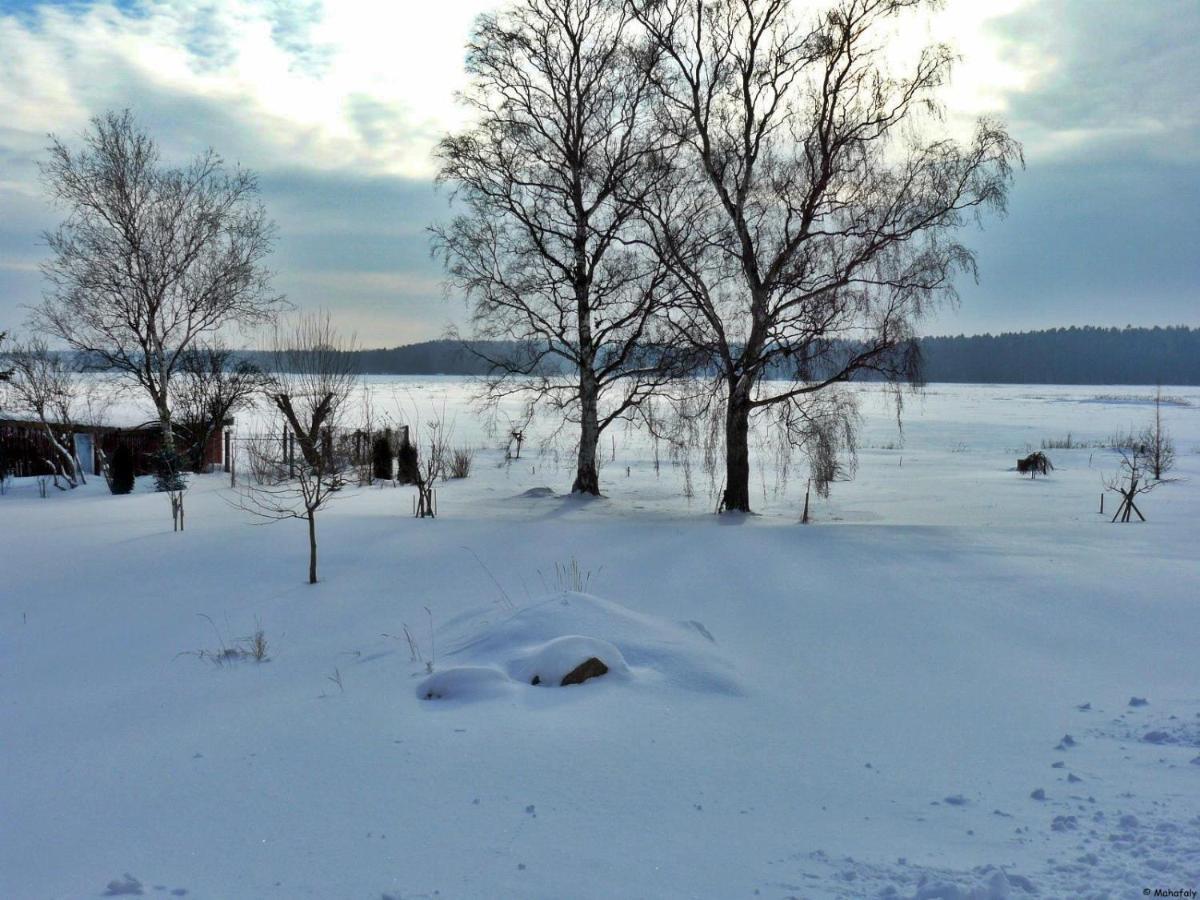 "Balmgarten" Im Naturpark Usedom, Bio Solarhaus Mit Grossem Garten Dış mekan fotoğraf