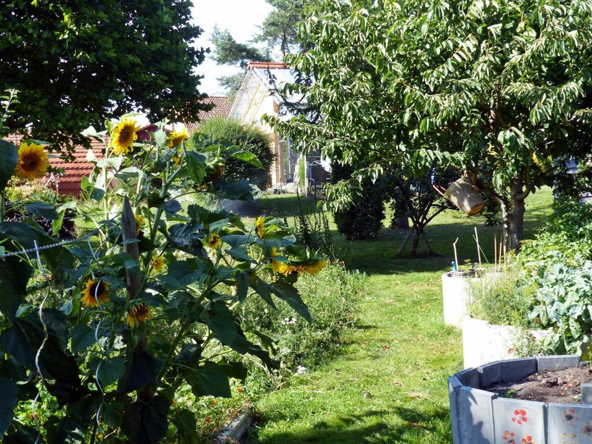 "Balmgarten" Im Naturpark Usedom, Bio Solarhaus Mit Grossem Garten Dış mekan fotoğraf