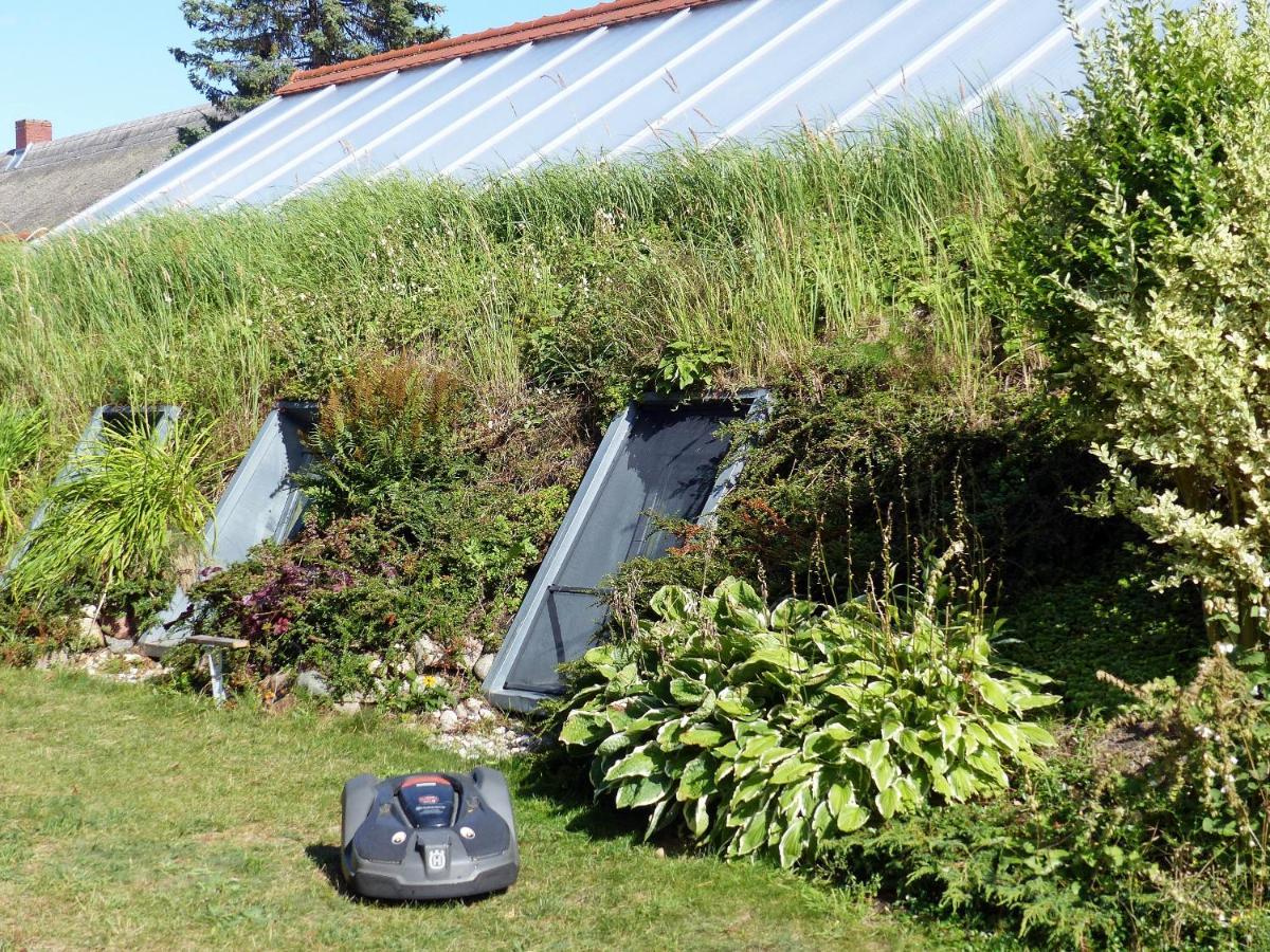 "Balmgarten" Im Naturpark Usedom, Bio Solarhaus Mit Grossem Garten Dış mekan fotoğraf